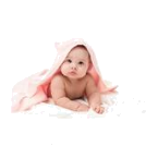 Bebek